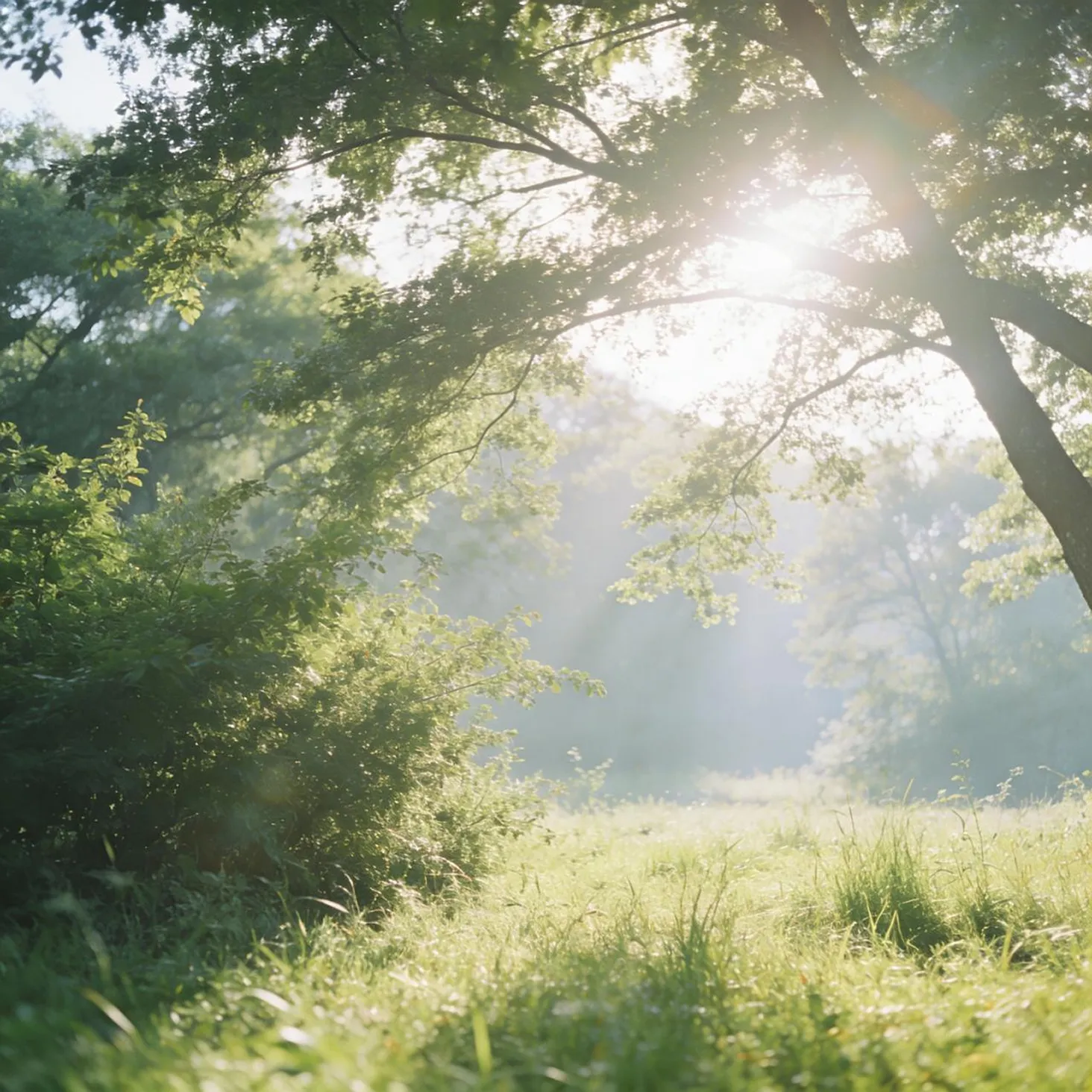 A Small Window in the Morning Light